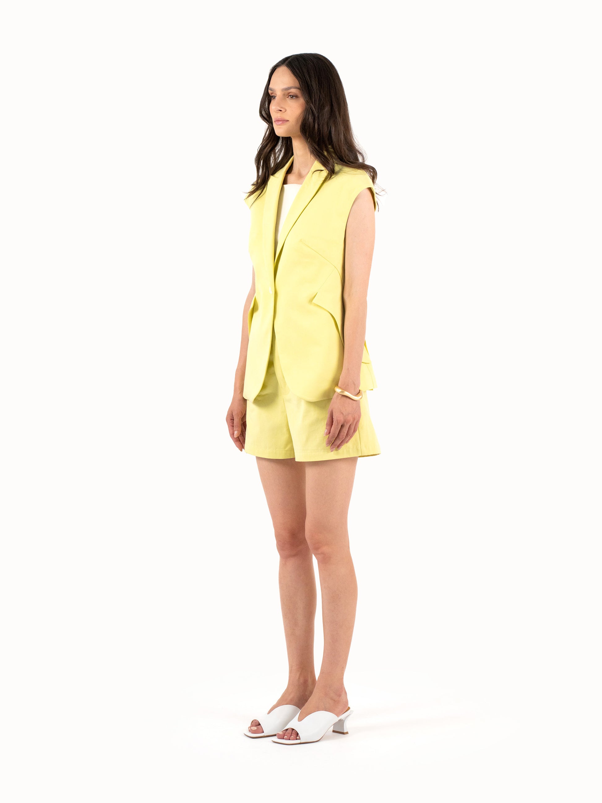 The Lemon Blazer